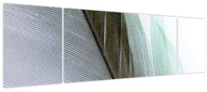 Obraz - Peří, makro (170x50 cm)
