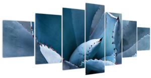 Obraz - Agáve (210x100 cm)