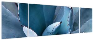 Obraz - Agáve (170x50 cm)