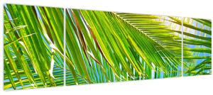 Obraz - Palmové listy (170x50 cm)