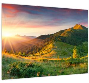 Obraz - Letní krajina (70x50 cm)