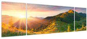 Obraz - Letní krajina (170x50 cm)