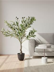 Sinsay - Decorative plant in a pot - zelená