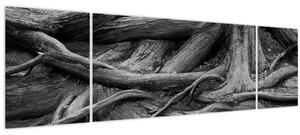 Obraz - Kořeny stromu (170x50 cm)