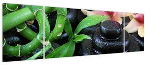 Obraz - Kameny a orchideje (170x50 cm)