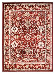 Makro Abra Kusový koberec RIVOLI EF52A Klasický červený Rozměr: 200x305 cm