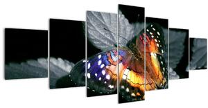 Obraz motýla (210x100 cm)