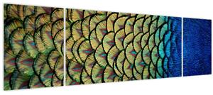 Obraz - Páví peří (170x50 cm)