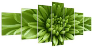 Obraz - Makro snímek rostliny (210x100 cm)