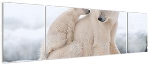 Obraz - Lední medvědi (170x50 cm)