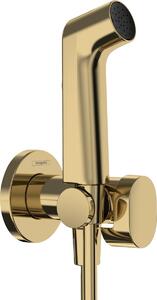Hansgrohe Bidette baterie s bidetovou sprchou pod omítku zlatá 29232990