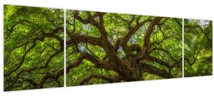 Obraz - Zelený strom (170x50 cm)
