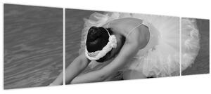 Obraz - Baletka, černobílá (170x50 cm)