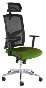 Alba Kancelářská židle Manager VIP Nature, zelená
