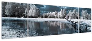 Obraz - Zamrzlá krajina (170x50 cm)