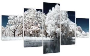 Obraz - Sněhobílé stromy (125x70 cm)