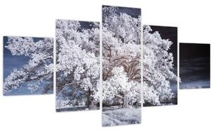 Obraz - Sněhobílý strom (125x70 cm)