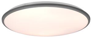 Stropní LED svítidlo LIMBUS titan/bílá