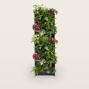 PlantBox - Živá stěna 10 modulů