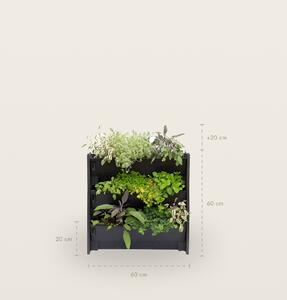 PlantBox - Živá stěna 1 modul