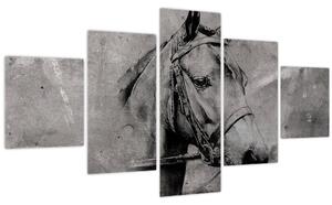 Obraz - Portrét koně (125x70 cm)