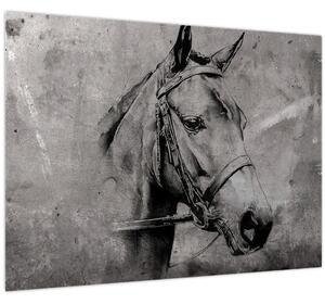 Obraz - Portrét koně (70x50 cm)
