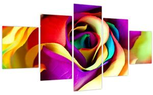 Obraz - Barevná růže (125x70 cm)