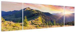 Obraz - Lesní krajina (170x50 cm)