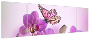 Obraz - Motýl na květech orchideje, lila (170x50 cm)
