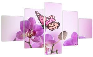 Obraz - Motýl na květech orchideje, lila (125x70 cm)