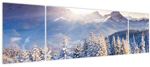 Obraz - Horská krajina v zimě (170x50 cm)