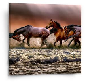 Sablio Obraz Koně ve vodě - 110x110 cm