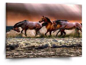 Sablio Obraz Koně ve vodě - 150x110 cm