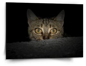 Sablio Obraz Kočka - 150x110 cm