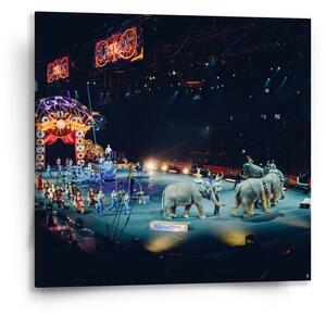 Sablio Obraz Cirkus - 50x50 cm