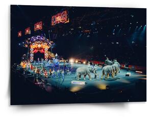 Sablio Obraz Cirkus - 150x110 cm