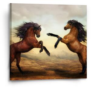 Sablio Obraz Vzpínající se koně - 50x50 cm
