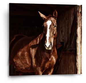 Sablio Obraz Kůň ve stáji - 50x50 cm