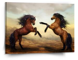 Sablio Obraz Vzpínající se koně - 150x110 cm