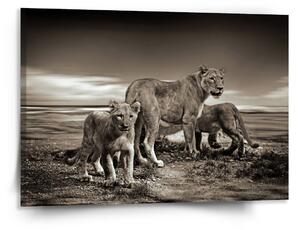 Sablio Obraz Lvice a lvíčata - 150x110 cm