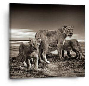 Sablio Obraz Lvice a lvíčata - 50x50 cm