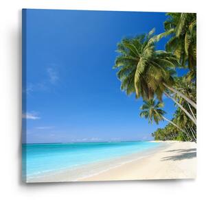 Sablio Obraz Palmová pláž - 50x50 cm