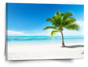 Sablio Obraz Palma na pláži - 150x110 cm