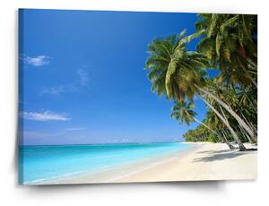 Sablio Obraz Palmová pláž - 150x110 cm