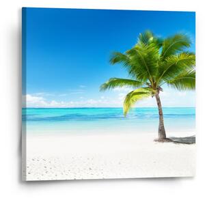 Sablio Obraz Palma na pláži - 50x50 cm