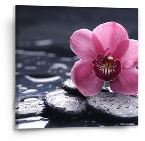 Sablio Obraz Orchidej - 50x50 cm