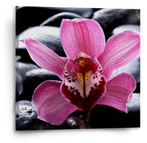 Sablio Obraz Růžová orchidea - 50x50 cm
