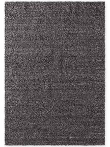 Koberec Ted Baker Notting Hill Portobello Dark Grey