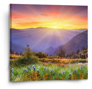 Sablio Obraz Západ slunce nad lesem - 50x50 cm