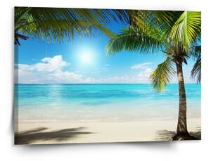 Sablio Obraz Pláž s palmami - 150x110 cm